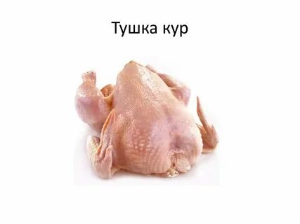 Слово тушка