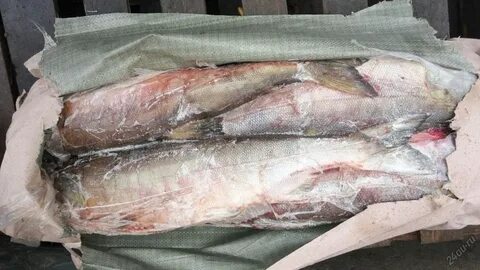Кета рыба мороженная