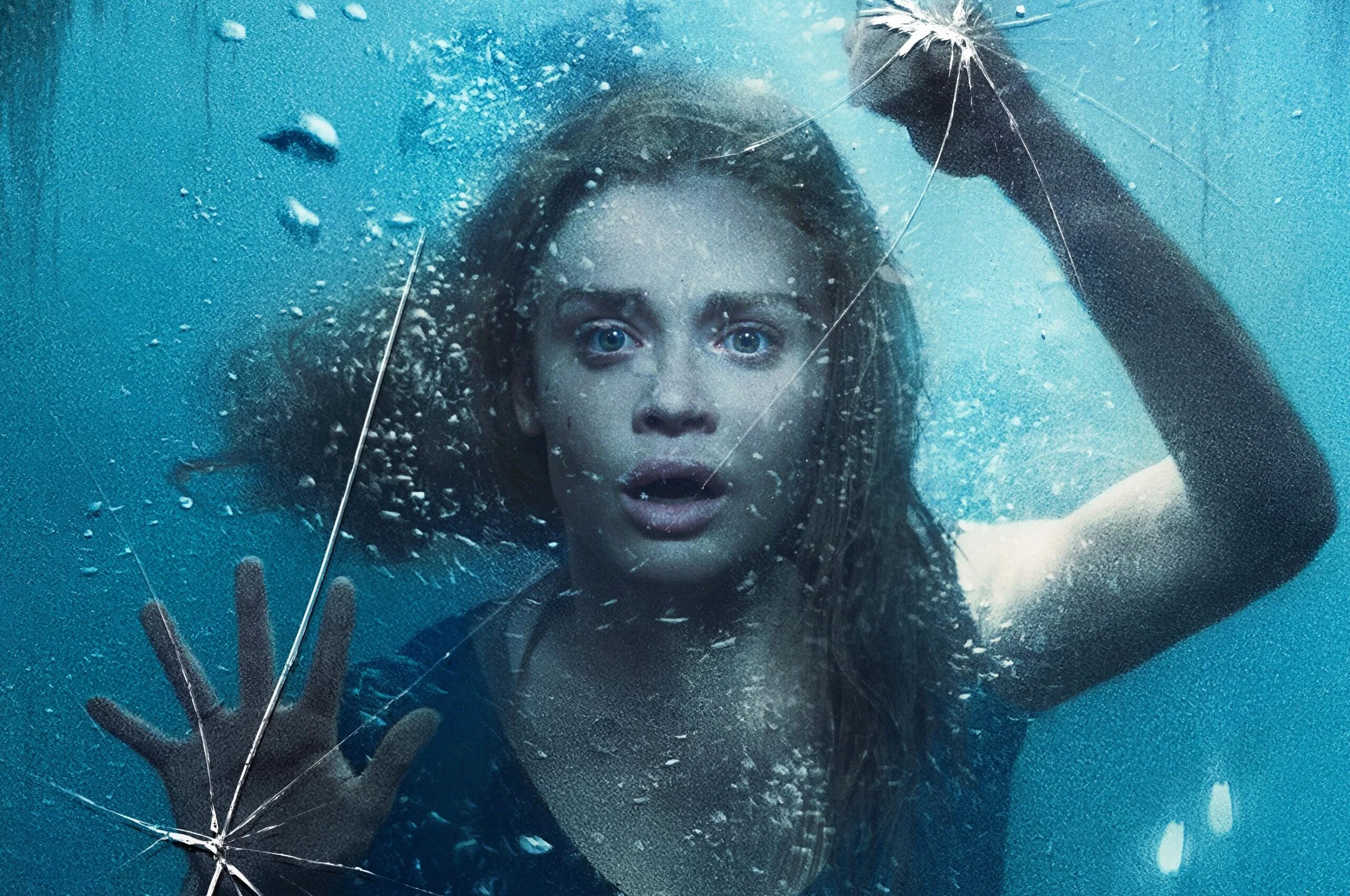 Кнопка follow. Follow flashcard. Follow me надпись. Now i follow. Follow картинка.