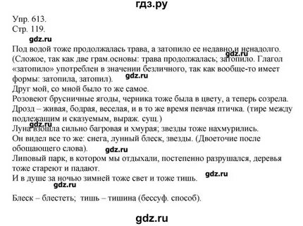 Русский язык 5 класс упражнение 613