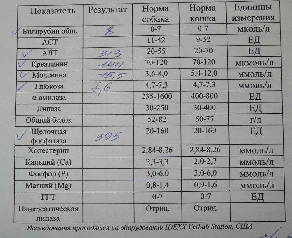 Норма показателей биохимического анализа у котов. Показатели Глюкозы в крови у кота норма. Норма сахара в крови у кошек показатели. Сахар у кота норма в крови.