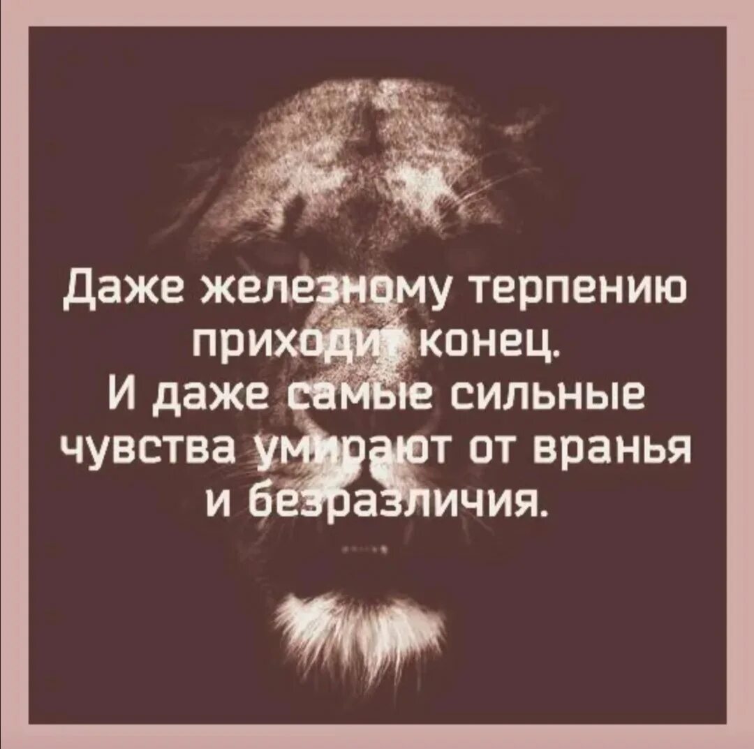 Терпению приходит конец. Даже железному терпению приходит конец и даже. Каждому терпению приходит конец цитаты. Всему приходит конец цитаты. Власти приходит конец