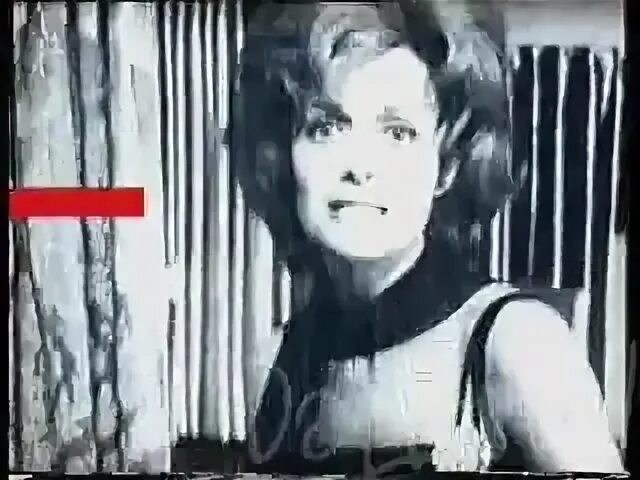 Дельфин любовь клип. Дельфин певец любовь. Любовь дельфин где послушать. Стая дельфинов. Дельфин любовь слушать.