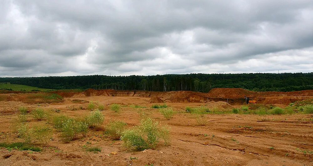 посёлок сычёво волоколамский район. рабочий поселок сычево. сычево коломенский район. снт ротор сычево волоколамский район. погода сычево.