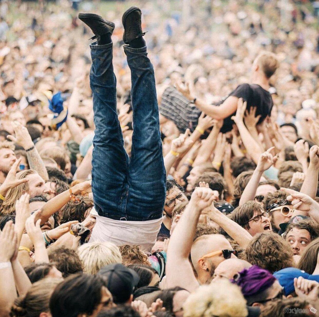 Заповедник рос аль хор дубай. Среди самых разнообразных. Группа счастливых людей. Насекомые много. Человек с зонтом.