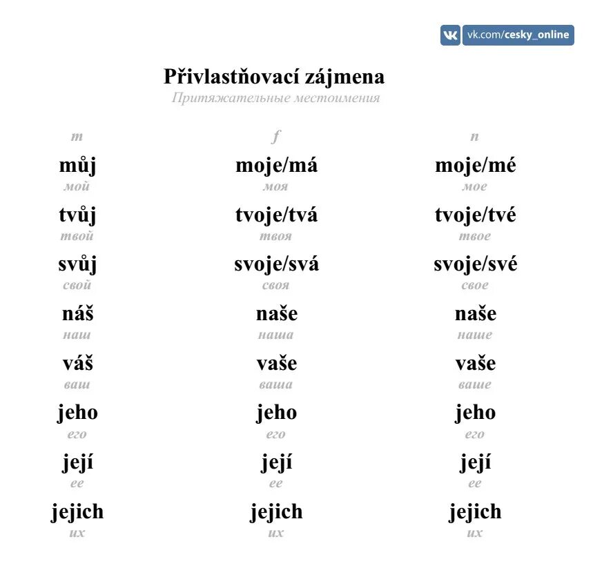 Сколько притяжательных местоимений использовал и с тургенев. Местоимения в чешском языке. Личные местоимения в чешском языке таблица. Склонение местоимений чешский. Чешские местоимения таблица.