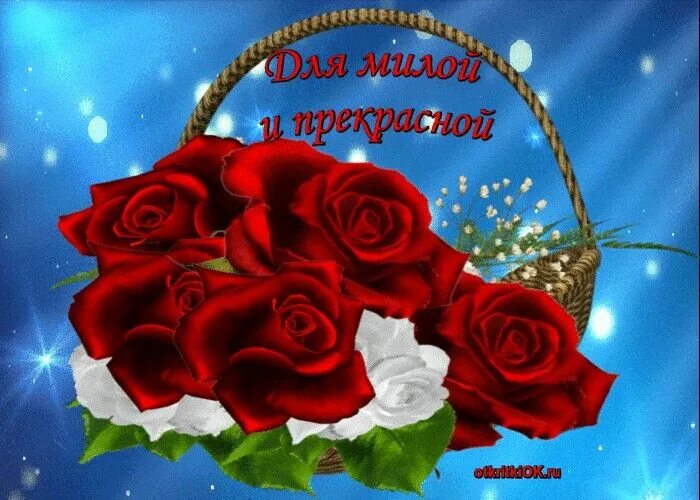 Pin on Добрий ранок Flowers, Decorative wicker basket, Rose