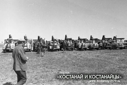 Совхоз урицкий