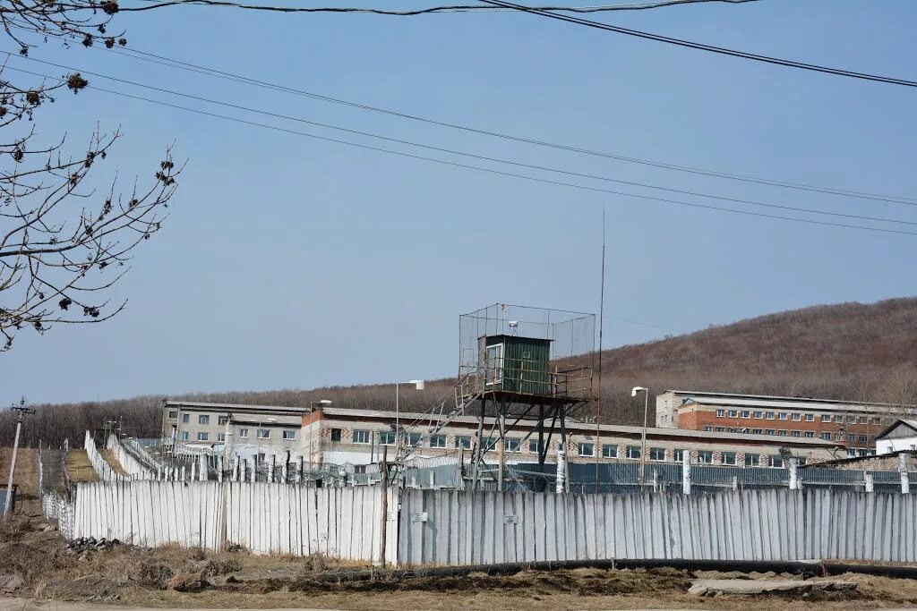 колонии приморья