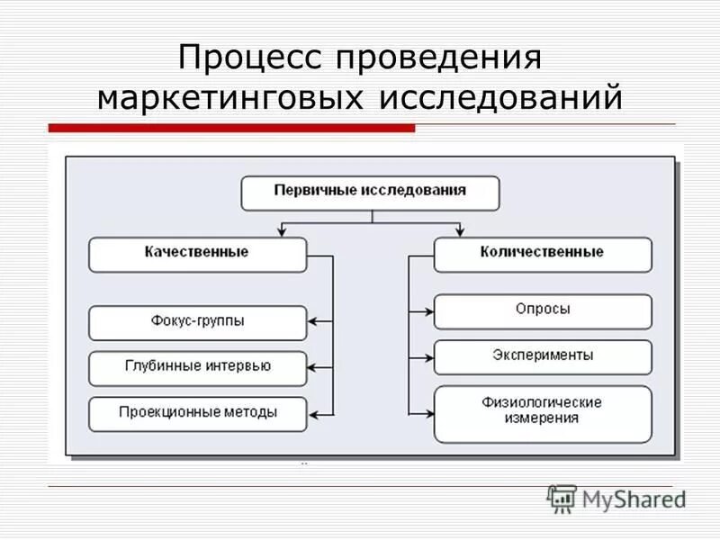 Как провести маркетинговое исследование