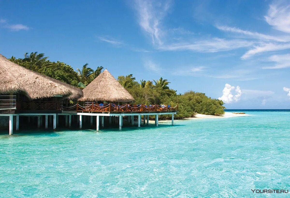 Eriyadu island resort 4* (north male' atoll). Эрияду айленд резорт мальдивы. Eriyadu island resort maldives. Eriyadu maldives. Eriyadu maldives.