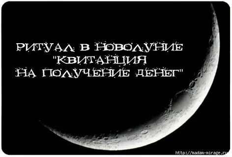 Фраза месяца