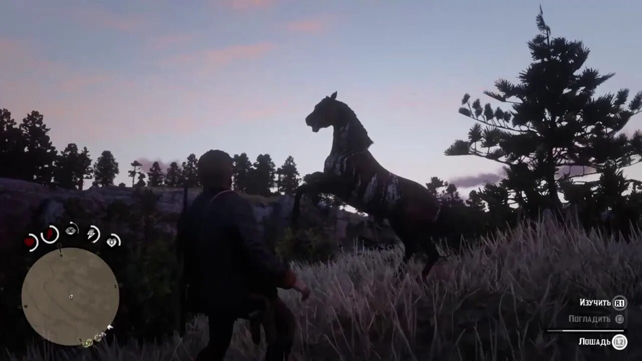 Red Dead Redemption 2 карта лошадей. Rdr 2 Дикая арабская лошадь. Red Dead Redemption 2 арабский скакун. Red Dead Redemption 2 лошади.