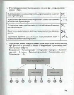 Выделите правильное высказывание