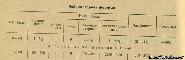Патологические изменения лейкоцитарной формулы. Сдвиг лейкоцитарной формулы. лейкоцитарная формула сдвиги формулы. сдвиг лейкоцитарной формулы вправо у детей.