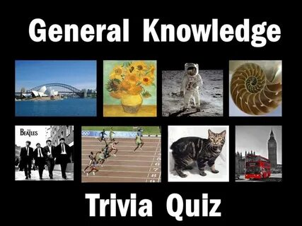 Knowledge quizzes