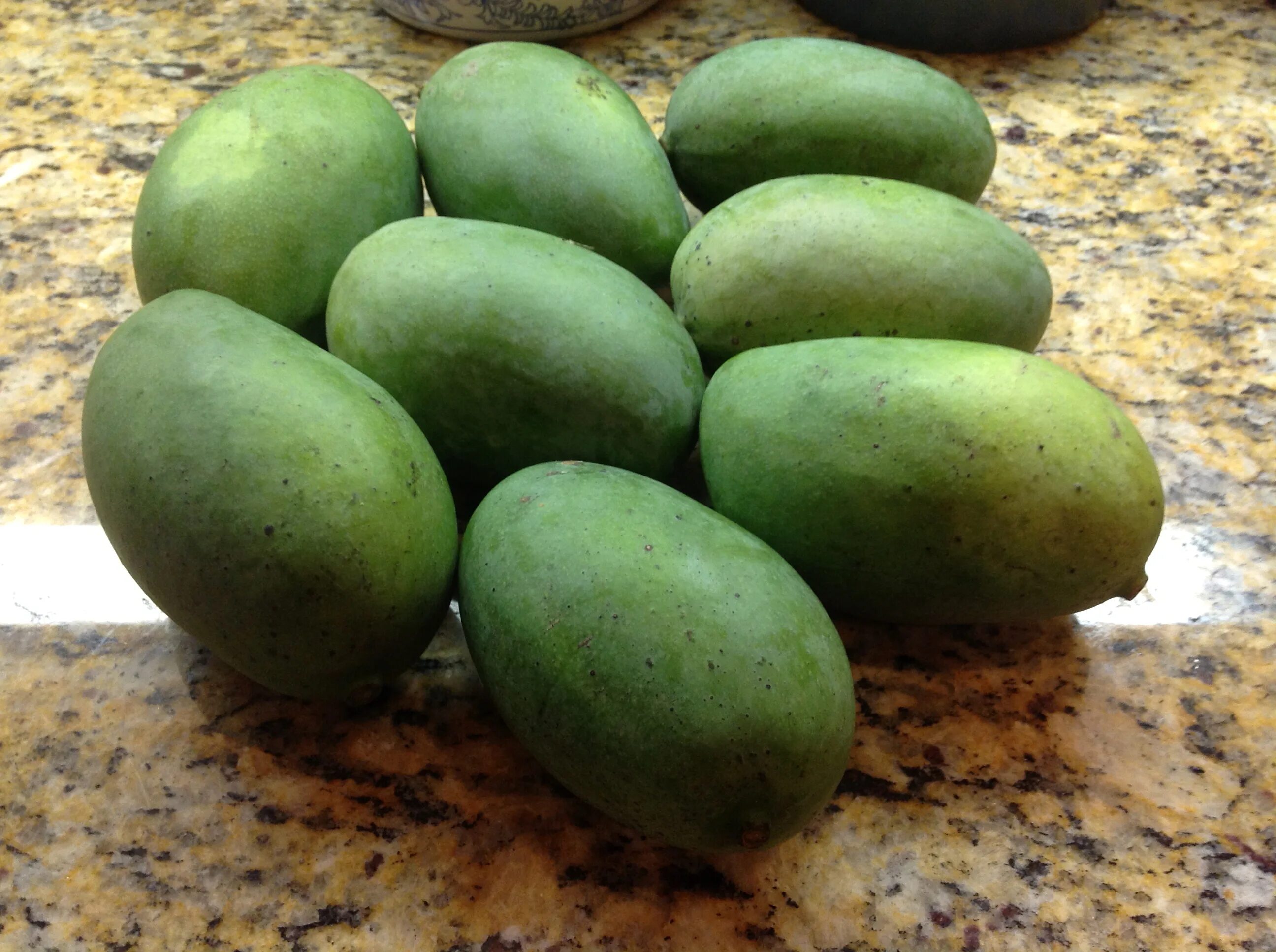 5,630 One Mango Stock Photos - Free & Royalty-Free Stock Photos from Dreamstime 