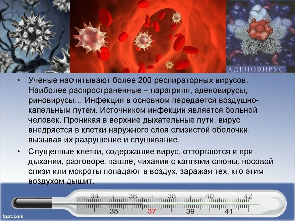 Заболевания передающиеся вирусами. Аденовирус вирус гриппа. Воздушно капельным передаются вирусы. Вирусные инфекции передающиеся воздушно-капельным путем. Аденовирус источник инфекции.