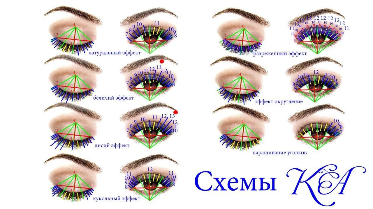 Наращивание ресниц схемы. Беличий эффект наращивание ресниц 3д схема. Наращивание ресниц беличий эффект 2д схема. Беличий эффект наращивание ресниц схема. Беличий эффект наращивание ресниц 2d схема.