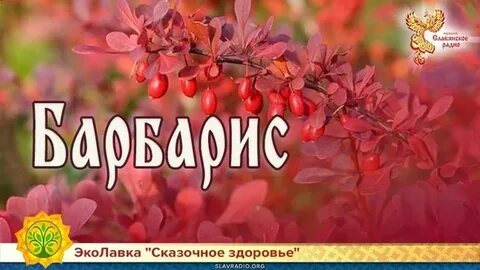 Сказочное здоровье
