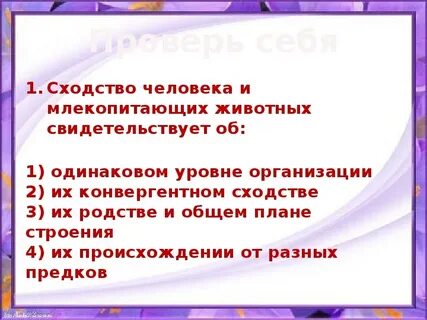 Сходство человека с млекопитающими