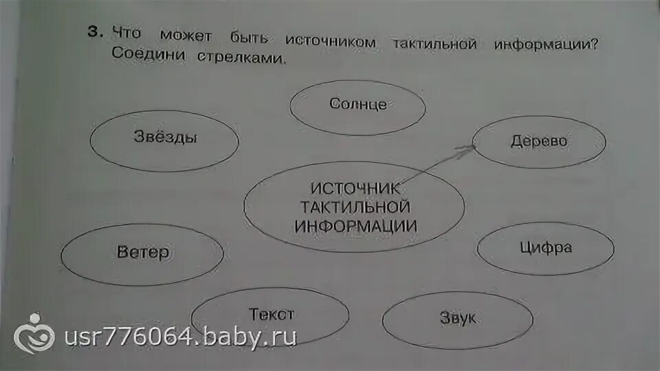 Источник тактильной информации. Источник тактильной информации
