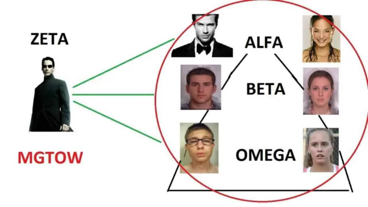 Мужчины Альфа бета гамма Омега. Альфа и бета самцы. Альфа бета и Омега самцы. Альфа Омега типы мужчин. Признаки сильного самца