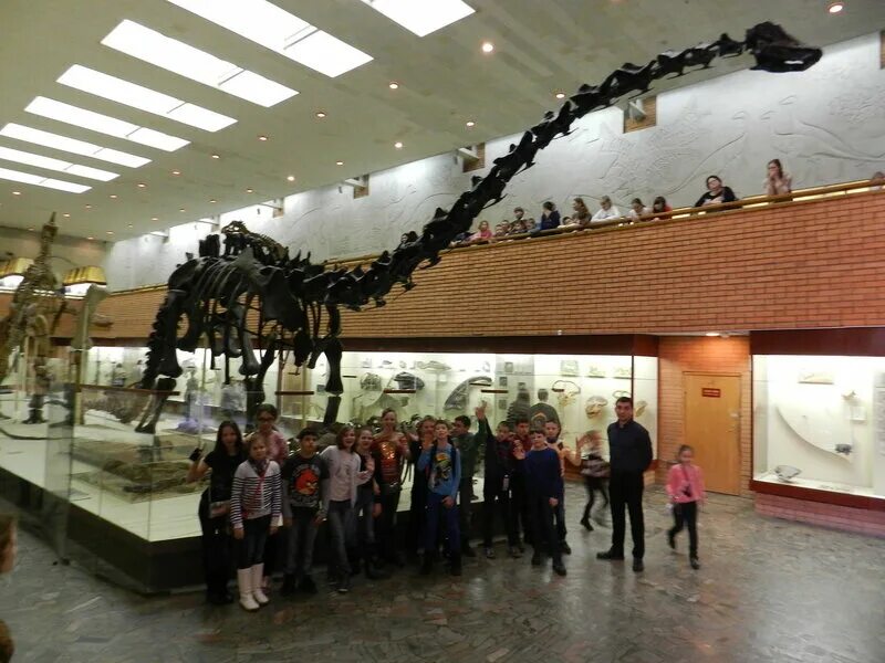 Орлова. Палеонтологический музей в москве. Музей палеонтологии орлова в москве. Интересные музеи москвы для взрослых. Музеи москвы дарвиновский музей.