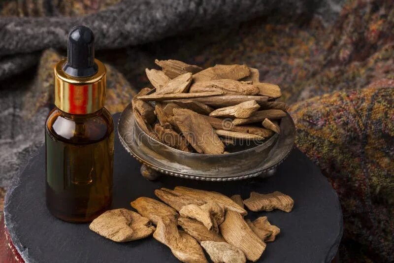 Attar musk. Пряный мускус. Sandal духи. Мускус циветты. Abdul samad al qurashi blend масляные 16 мл.