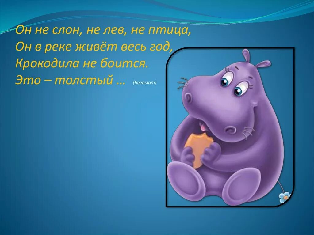 Бегемот живет лет. Загадка про бегемота для детей. Стишок про бегемота. Загадка про бибигимота. Детский стих про бегемота.