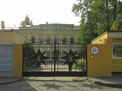 Ломоносов костылева