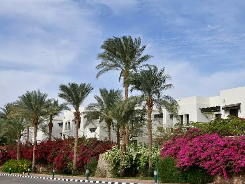 Шарм плаза тур. Crowne plaza resort) 5*. Отель шарм плаза шарм-эль-шейх. Crowne plaza resort) шарм-эль-шейх. Шарм плаза тур.