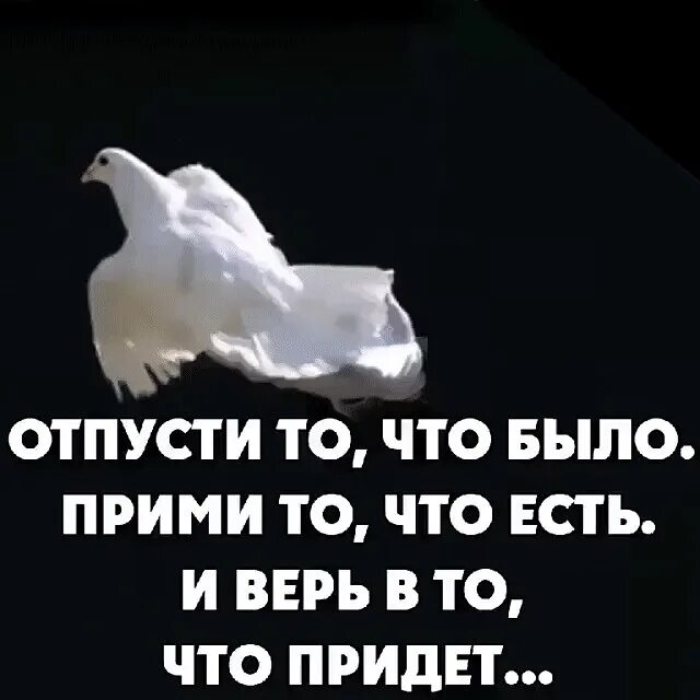 Душа не отпускает бывшего. Прими и отпусти. Прими что есть и отпусти что было. Прими то что есть отпусти то. Отпусти то что было прими то что есть и верь в то что придет.