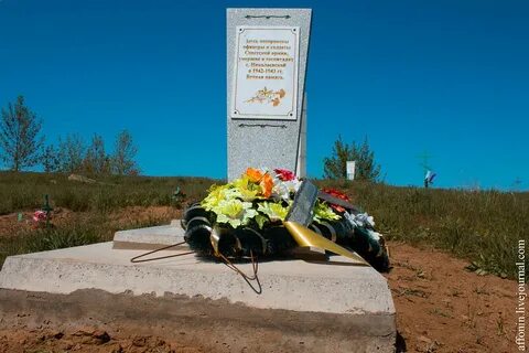 Николаевка волгоградская область