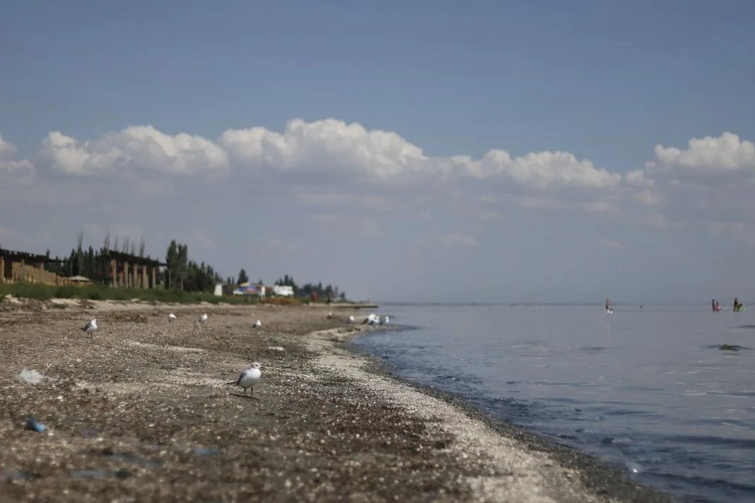 Под геническом. Город геническ херсонская область. Геническ арабатская стрелка. Геническ мост. Под геническом.