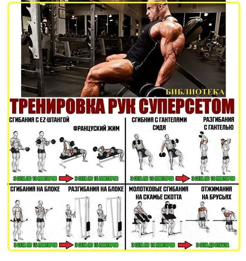 Тренировка с гантелями на неделю. Тренировка на бицепс в тренажерном зале. Бодибилдинг программы тренировок. Программа упражнений на бицепс и трицепс. Упражнения на бицепс в тренажерном.