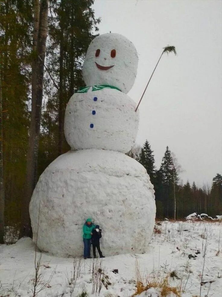 Man builds world's biggest snowman in his front garden (but why on earth did he 