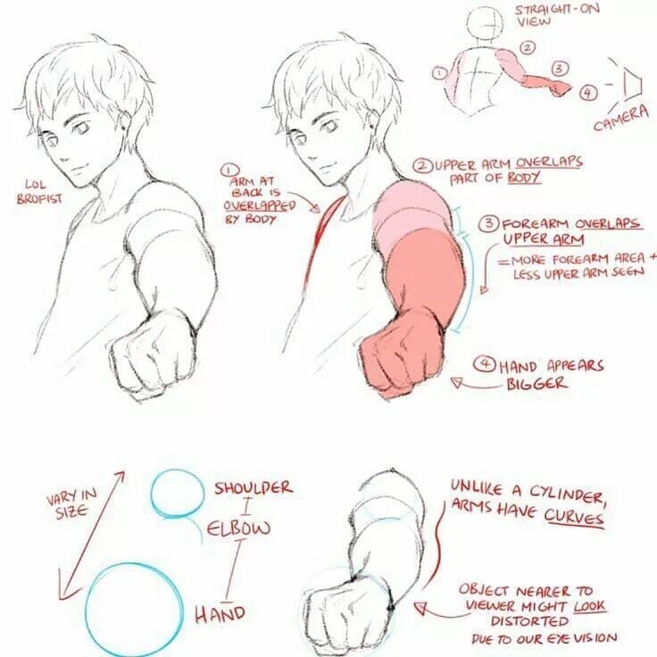 Draws tips