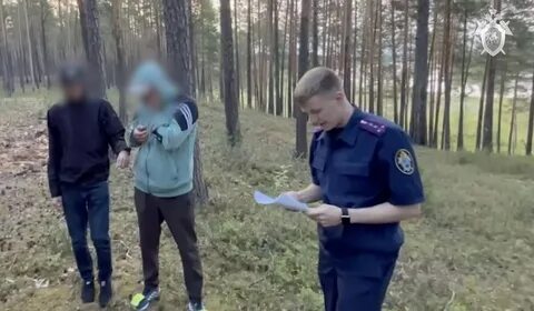 Мужья следователи