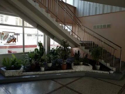 Школа 4 анапа