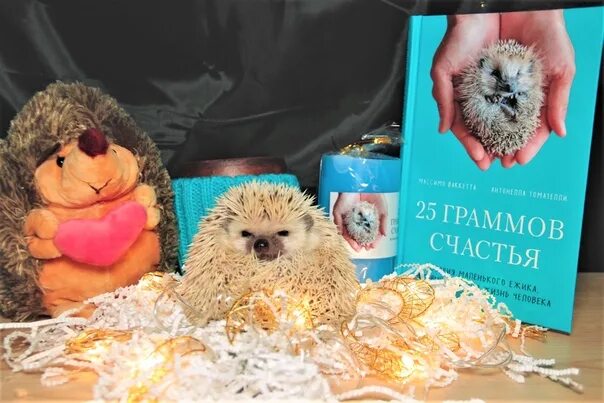 25 граммов счастья. 25 граммов счастья. 25 граммов счастья. Грамм счастья. Массимо ваккетта.