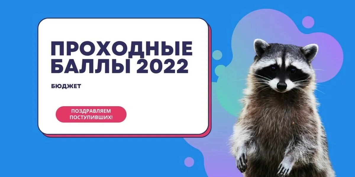 Переводческий факультет мглу минск. Баллы по егэ 2023. Вступительные баллы на бюджет. Мглу баллы 2023. Мглу баллы 2023.