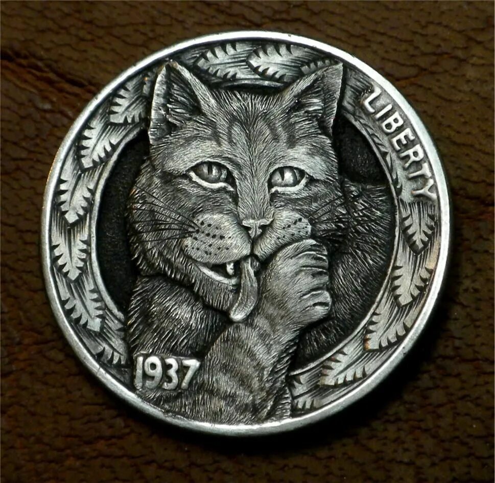 Кот монетку. Кот с монетами. монета с котами. монеты с кошками. котик с монеткой.