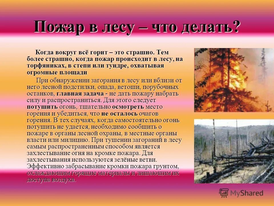 если огонь горит. если загорелась одежда на человеке памятка. действия при возгорании одежды на человеке. что делать когда загорелся телевизор. что надо делать когда горит.