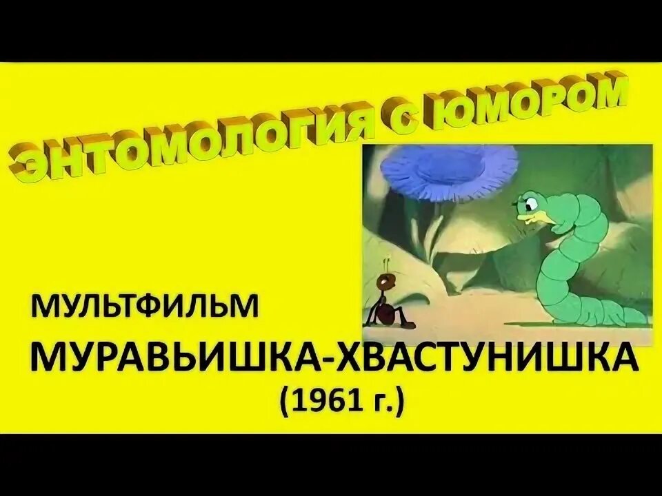 Я инвалид ножка болит солнышко скроется муравейник. Солнышко скроется муравейник закроется. ножка болит солнышко скроется муравейник закроется.