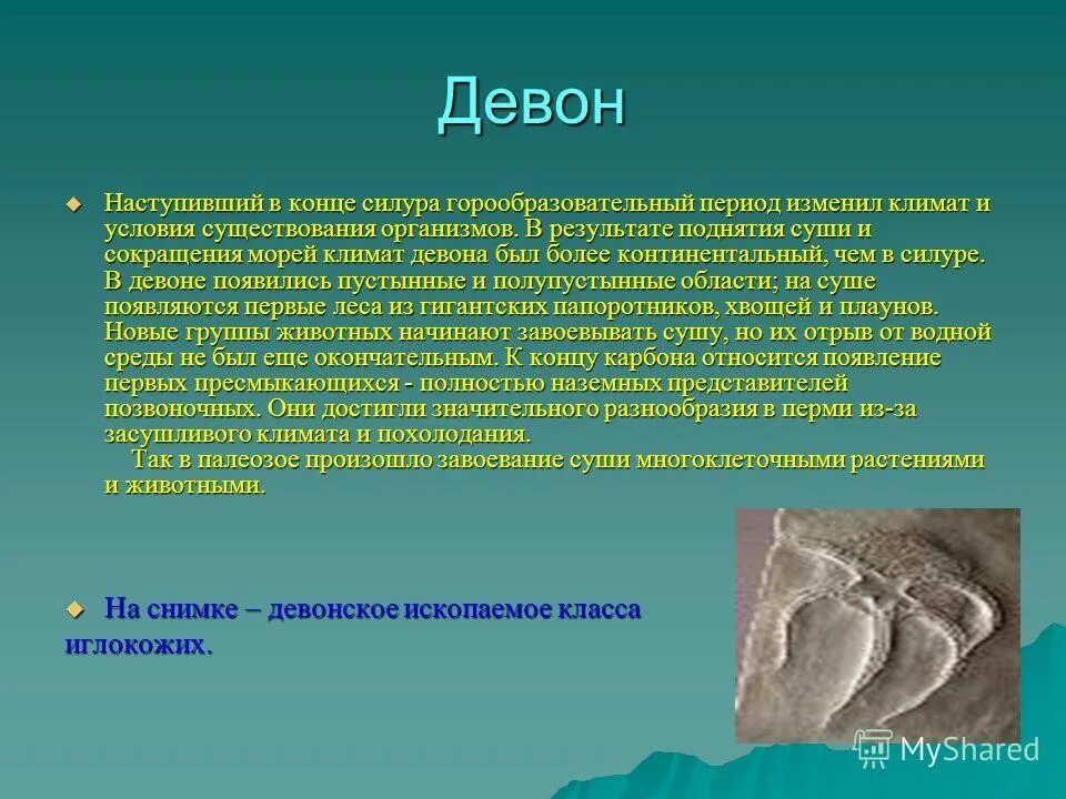 девонский период палеозойской эры таблица. палеозойская эра девонский период климат. девонский период этапы развития. растения девонского периода таблица. эра палеозой период девон.