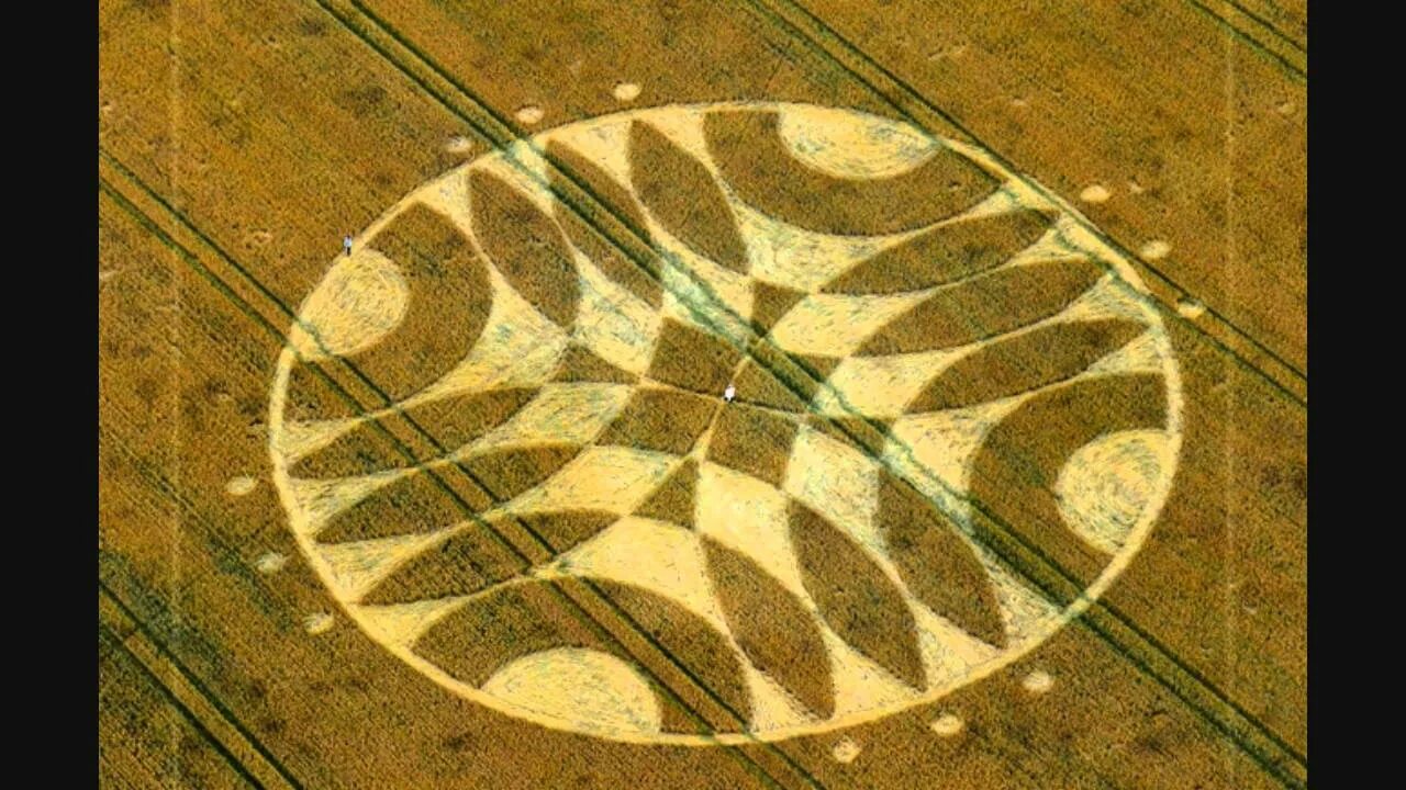Уилтшир,,круги на полях. Круги на полях 1960. Киматика круги на полях. Дорохов круги на полях. Круги на поле телеграмм