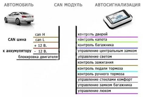 Кан шина это