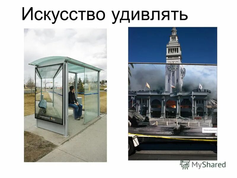 искусство удивлять. портрет из одежды на полу. идеальная женщина книга. индийский слон 17 века. музей мусора калуга.