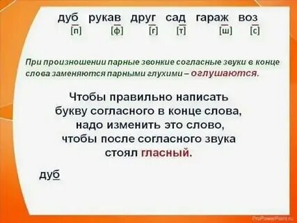 Слова с парными глухими на конце